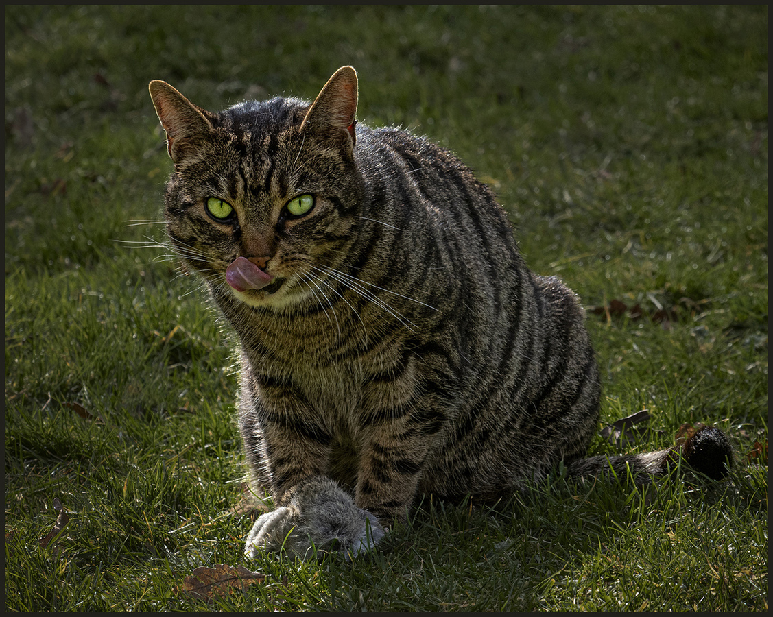 All Mine - Ann Laverock